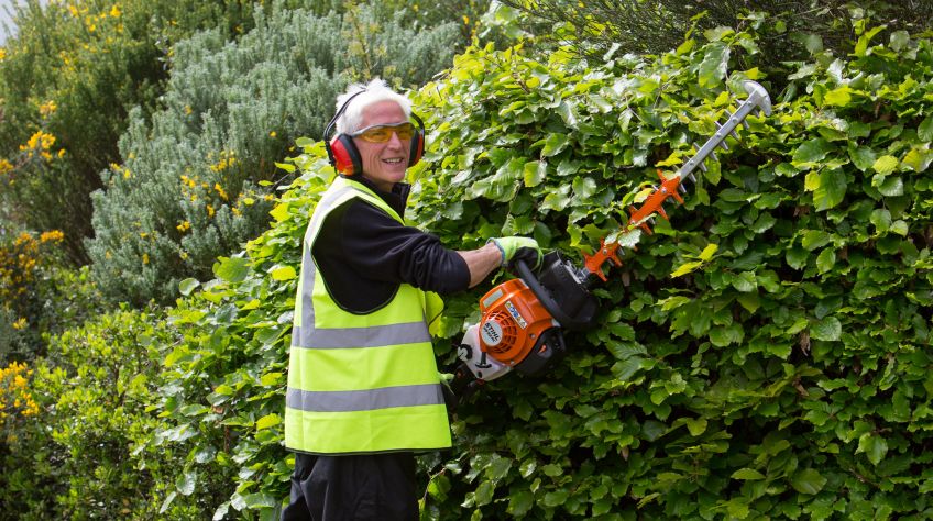 Hedge trimmer DC NETs